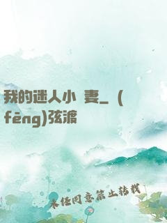 我的迷人小嬌妻
