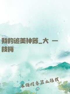 我的追美神器