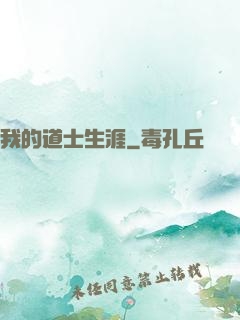 我的道士生涯