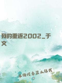 我的重返2002