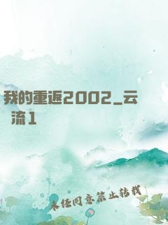 我的重返2002
