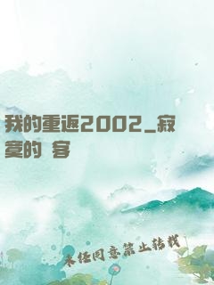 我的重返2002
