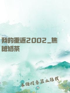 我的重返2002