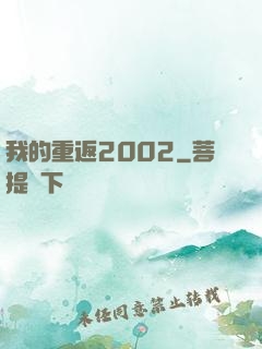 我的重返2002