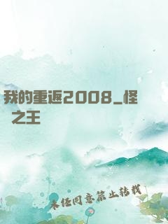 我的重返2008