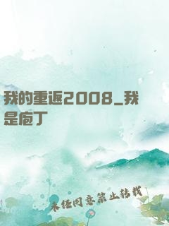 我的重返2008