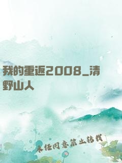 我的重返2008