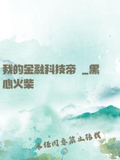 我的金融科技帝國