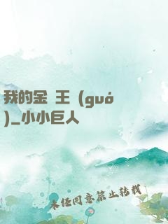 我的金錢王國(guó)