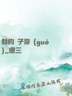 我的電子帝國(guó)