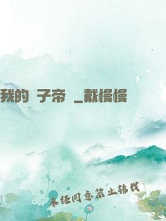 我的電子帝國