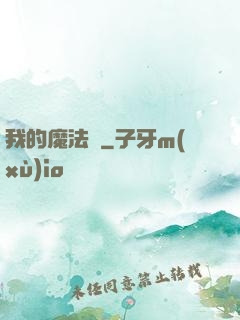 我的魔法書