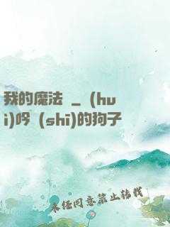 我的魔法書