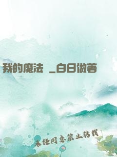 我的魔法書