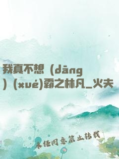 我真不想當(dāng)學(xué)霸之林凡