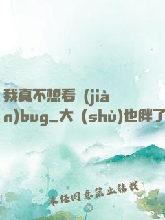 我真不想看見(jiàn)bug