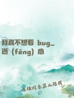 我真不想看見bug