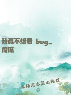 我真不想看見bug
