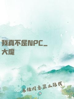 我真不是NPC