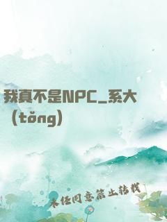 我真不是NPC