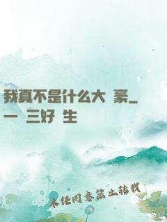 我真不是什么大劍豪