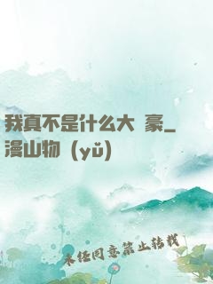 我真不是什么大劍豪