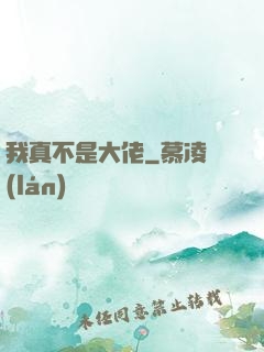我真不是大佬