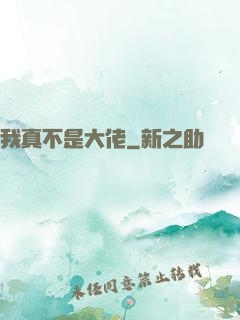 我真不是大佬