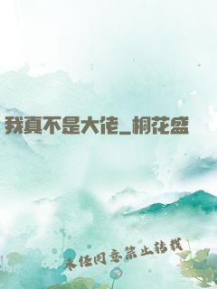 我真不是大佬