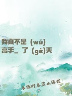 我真不是無(wú)敵高手