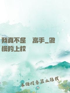 我真不是無敵高手