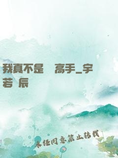 我真不是無敵高手