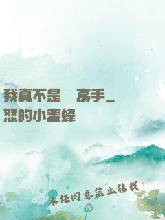 我真不是無敵高手