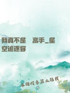 我真不是無敵高手