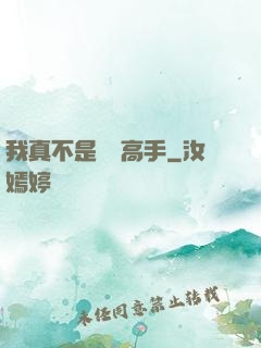 我真不是無敵高手