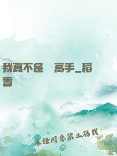 我真不是無敵高手