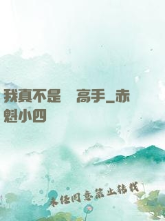 我真不是無敵高手