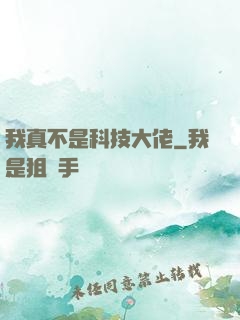 我真不是科技大佬