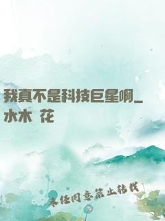 我真不是科技巨星啊