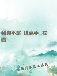 我真不是絕世高手