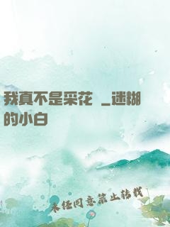 我真不是采花賊