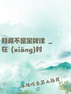 我真不是金牌律師