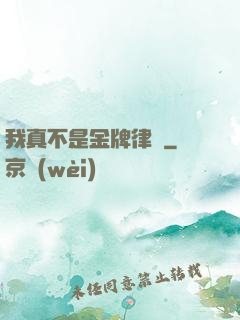 我真不是金牌律師