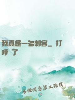 我真是一名刺客