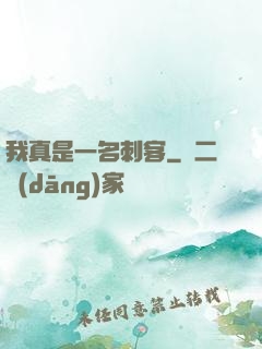 我真是一名刺客