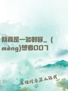 我真是一名刺客
