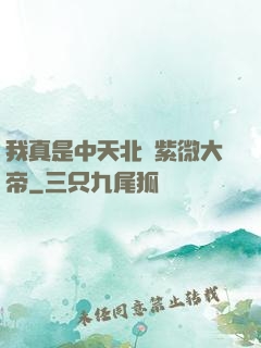 我真是中天北極紫微大帝