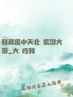 我真是中天北極紫微大帝