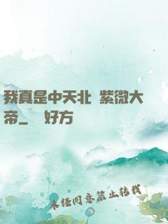 我真是中天北極紫微大帝
