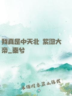 我真是中天北極紫微大帝